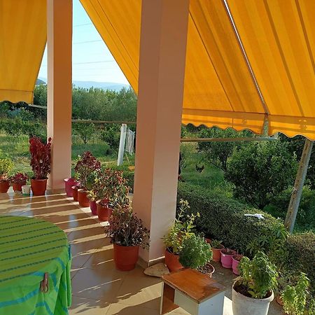 Guest House Fetie Берат Экстерьер фото